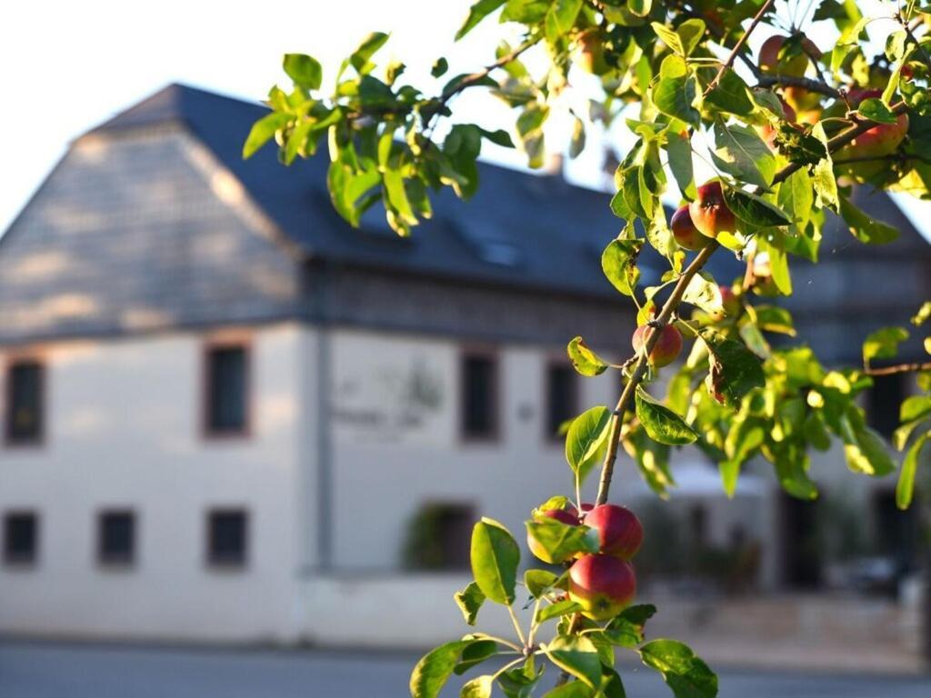 Halfenschaenke Modern Retreat Villa Piesport Eksteriør bilde
